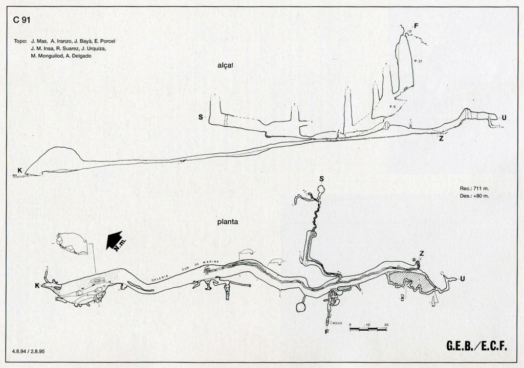 C-91 topografia