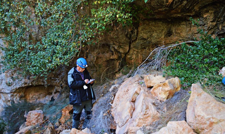 BALMA VALL CLOSA (Pinell de Brai, Terra Alta)