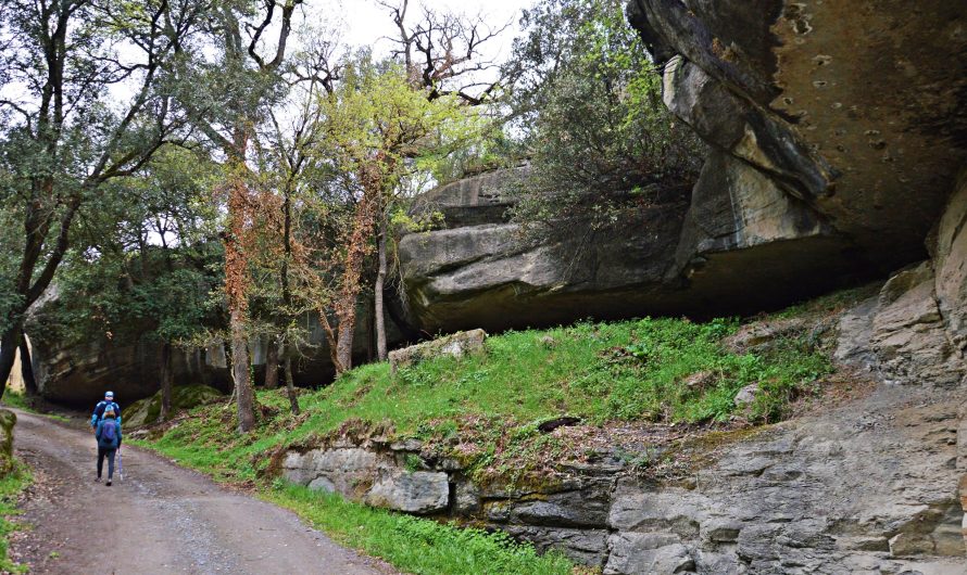 BALMA CAMÍ SANTA MAGDALENA (Les Masies de Roda. Osona)