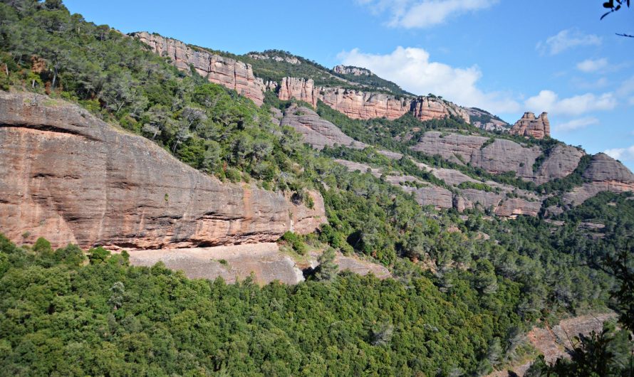 BALMES DEL COLL DE LA GRUA (Castellar del Vallès. Vallès Occidental)