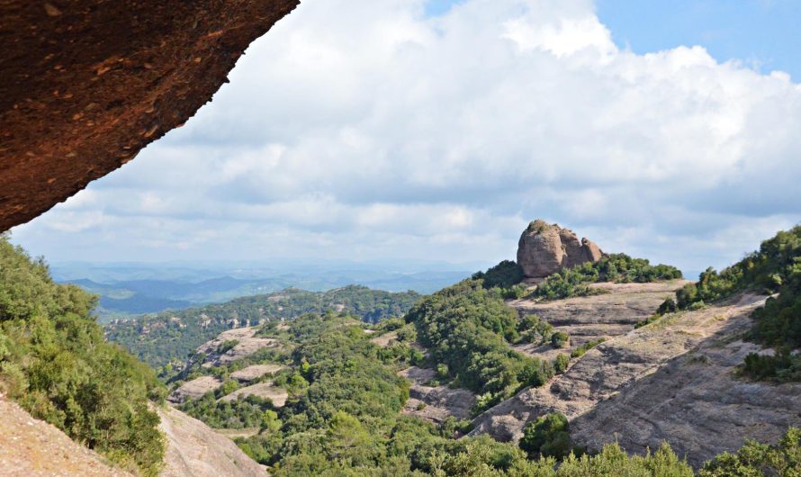 BALMA DELS CORTINS (Mura, Bages)