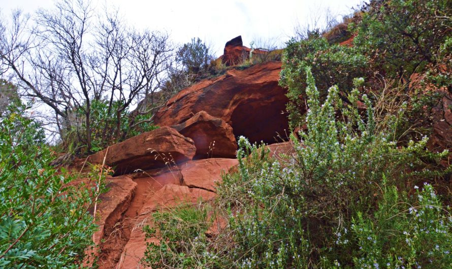 BALMA DE LES BRUIXES (Begues. Baix Llobregat)