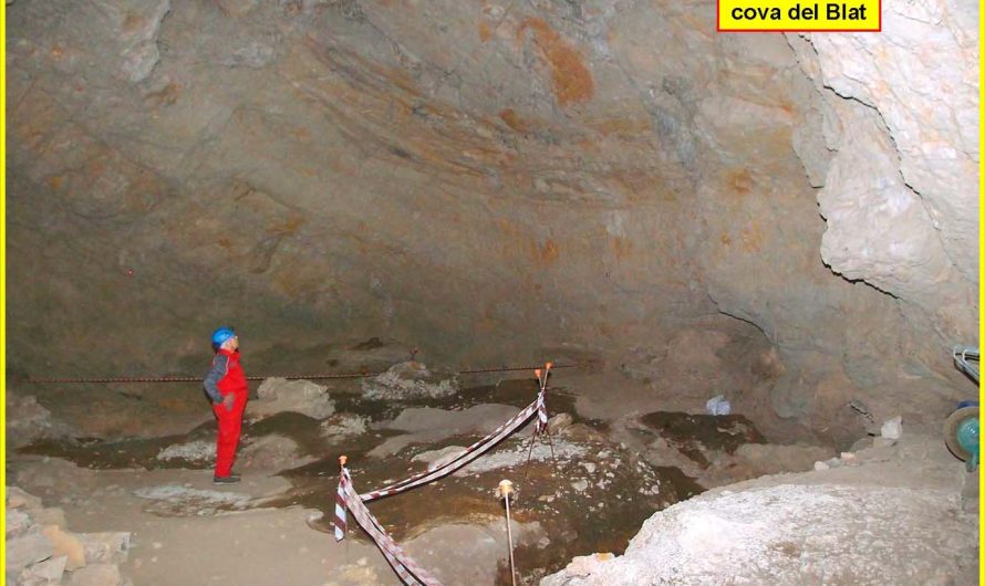 COVA DEL BLAT (Sales de Llierca. Garrotxa)