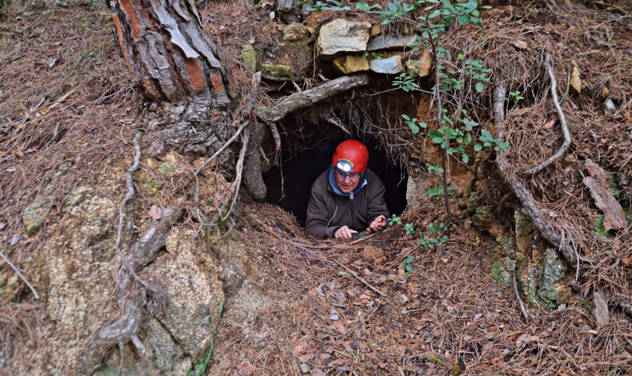 COVES D’ALELLA (Maresme)