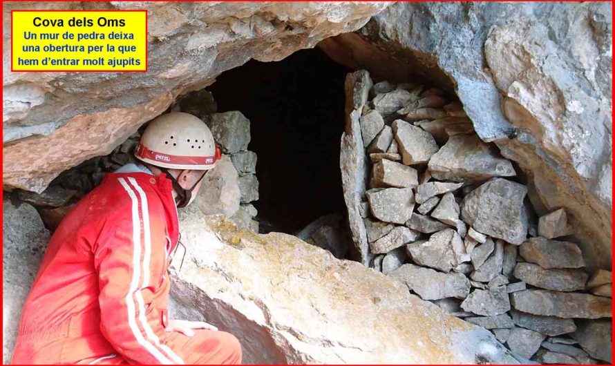 COVA DELS OMS i COVA DE L’OVELLA MORTA. (Ogassa, Ripollès)