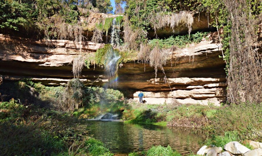 BALMA DE SANT JUST (Viver i Serrateix, Berguedà)