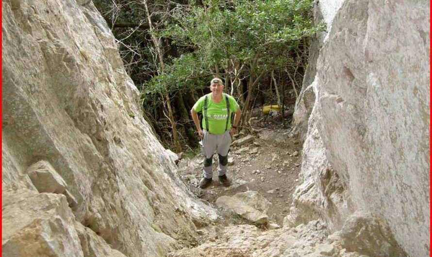 COVA DEL CINGLE DEL FERRAN (Montagut i Oix. Garrotxa)